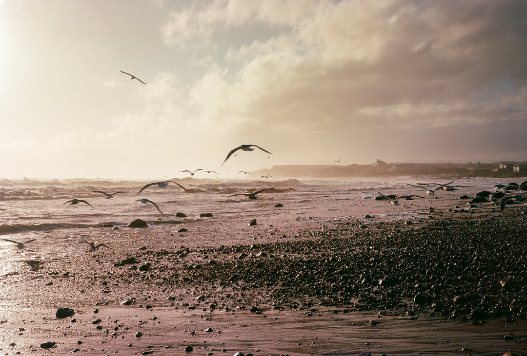 Storm Surge