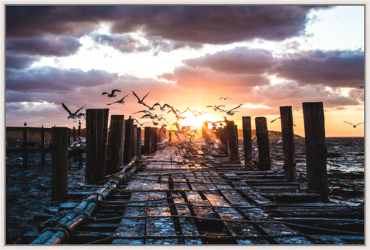 The Dock