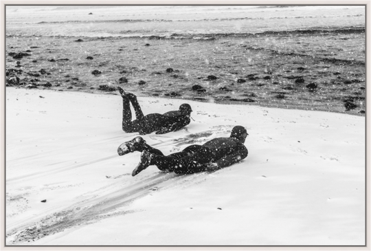 Snow Slides