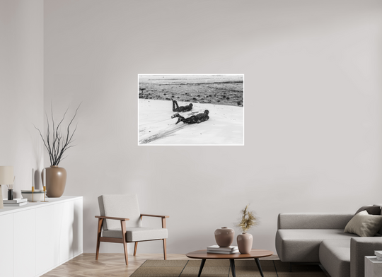 45 x 30″, Fuji Pearl Print Snow Slides