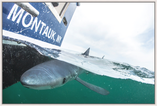 The Montauk Blues