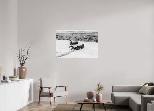 45 x 30″, HD Metal Print Snow Slides