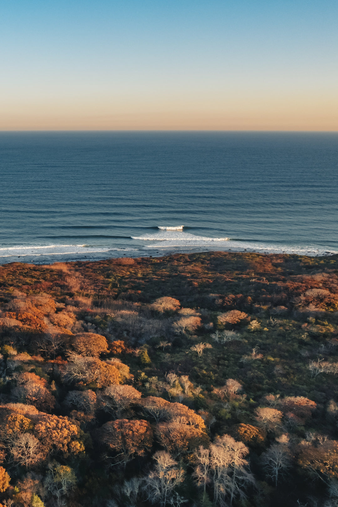 Main image Autumn Air