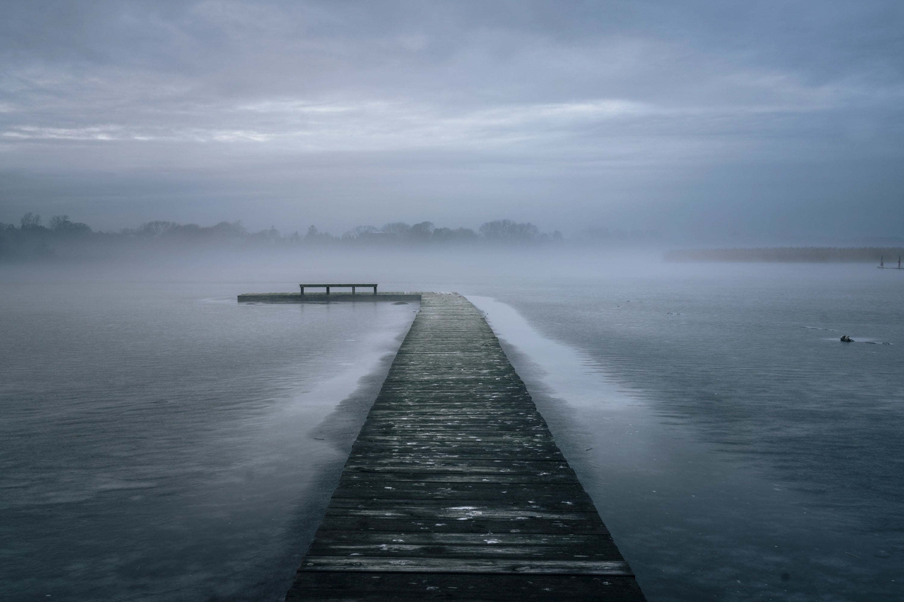 Main image Fort Pond