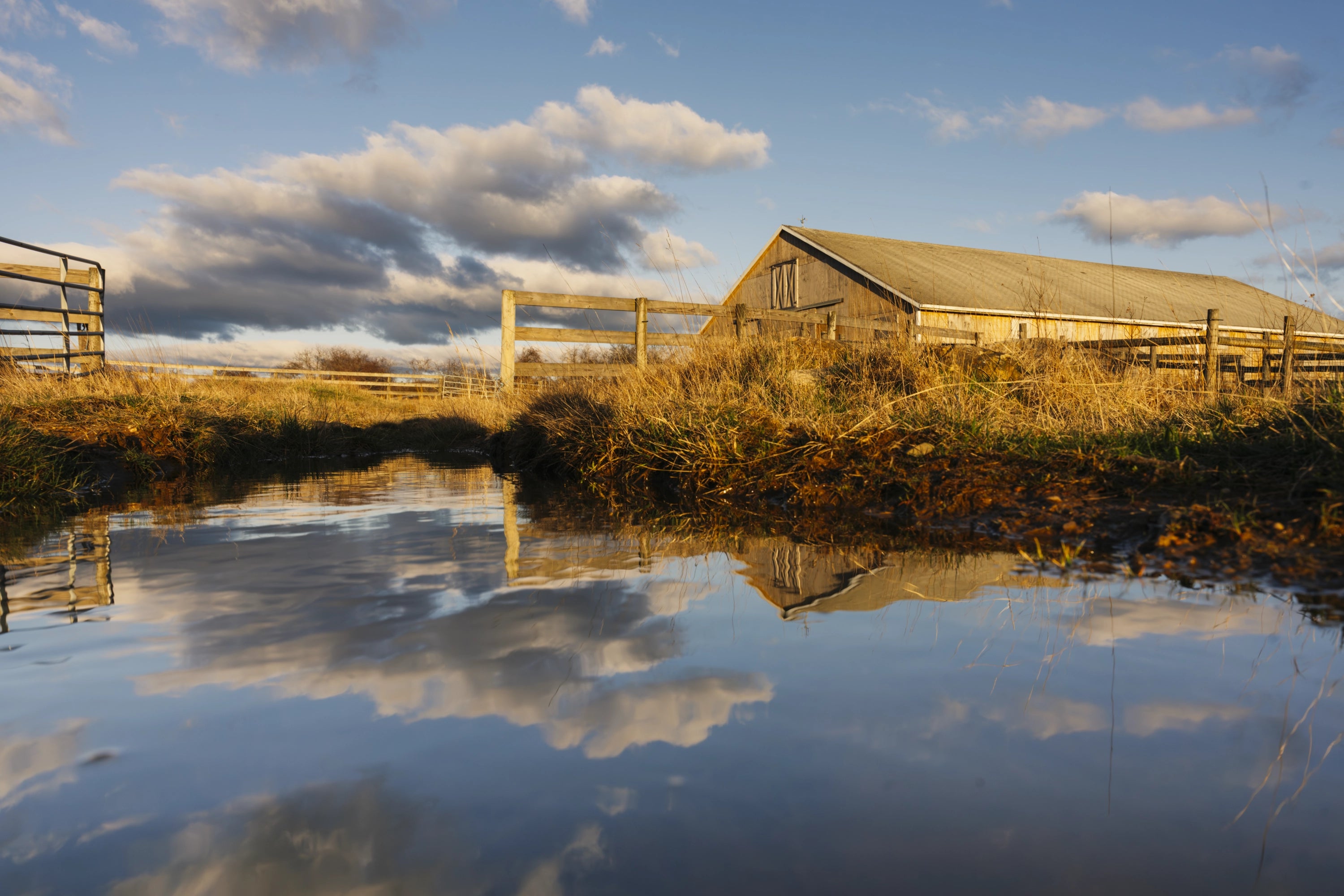 Main image Reflections of Rita's