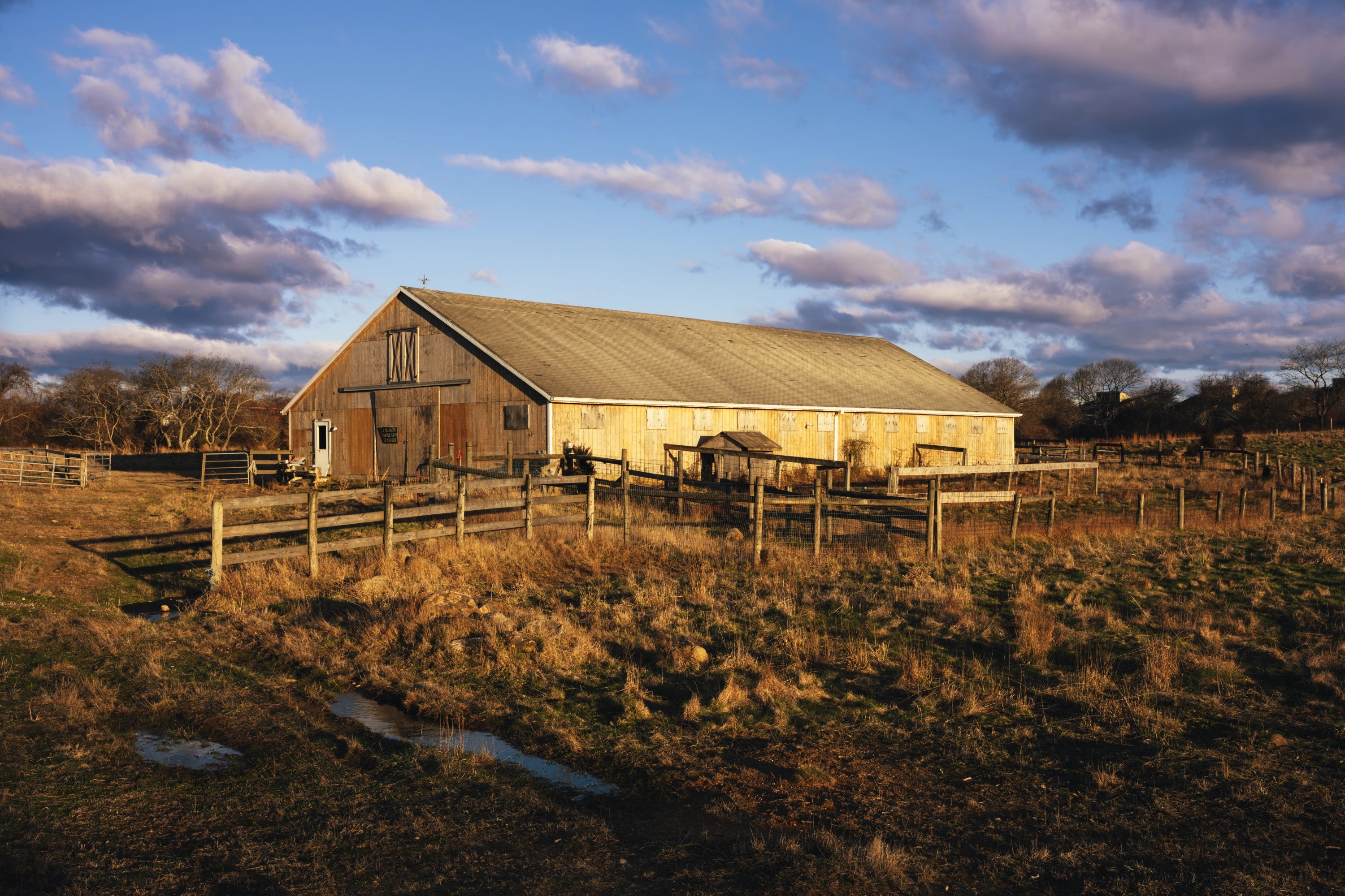 Main image Rita's Stables