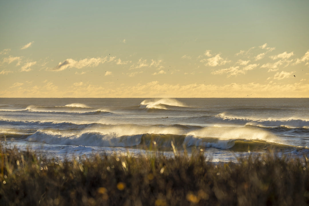 Main image Thanksgiving Morning