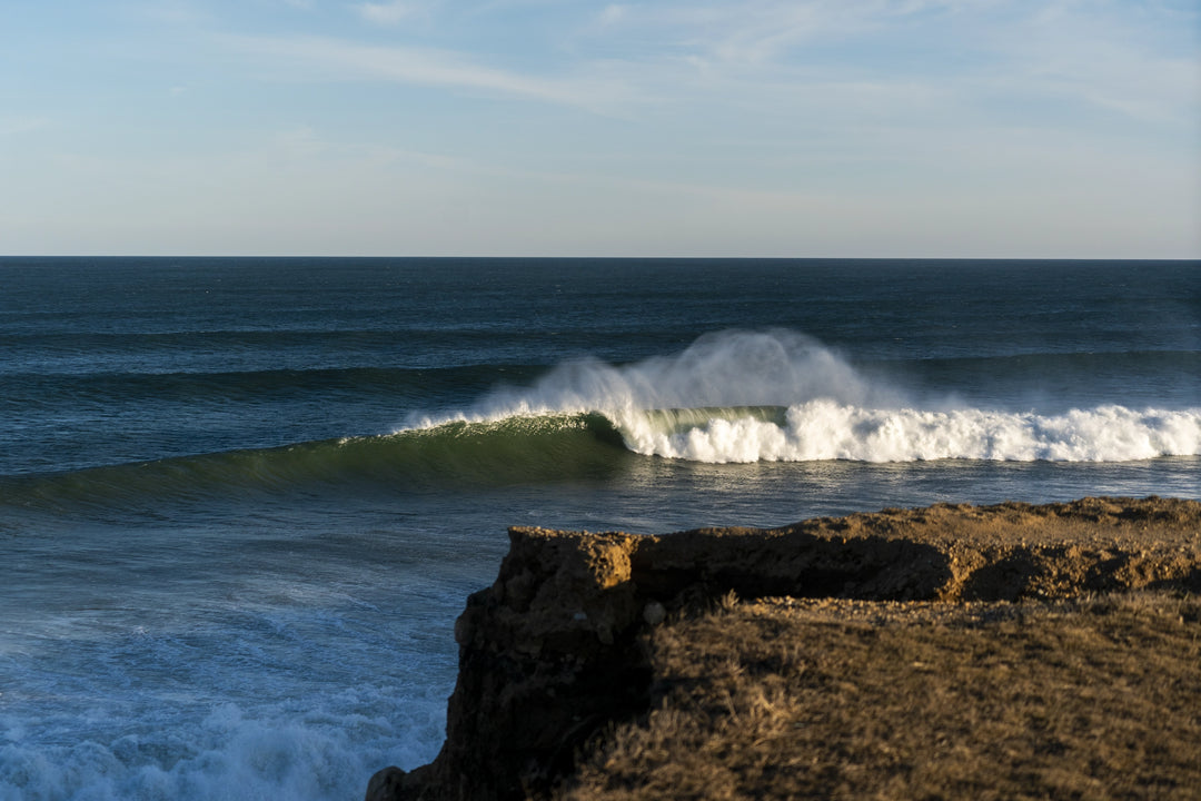 Main image Turtle Cove Peeler