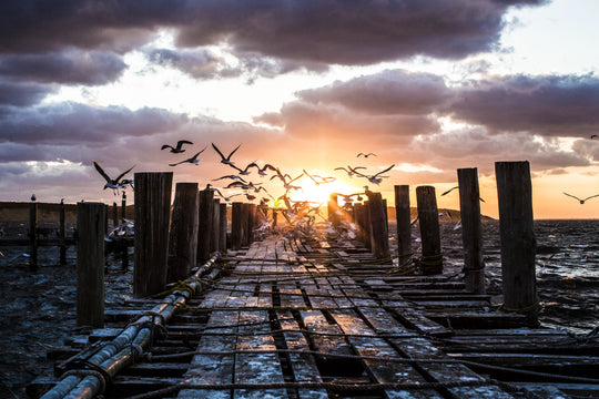Main image The Dock