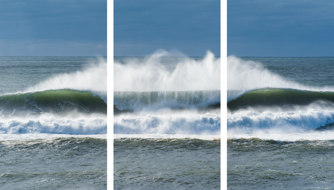 Windswept Triptych