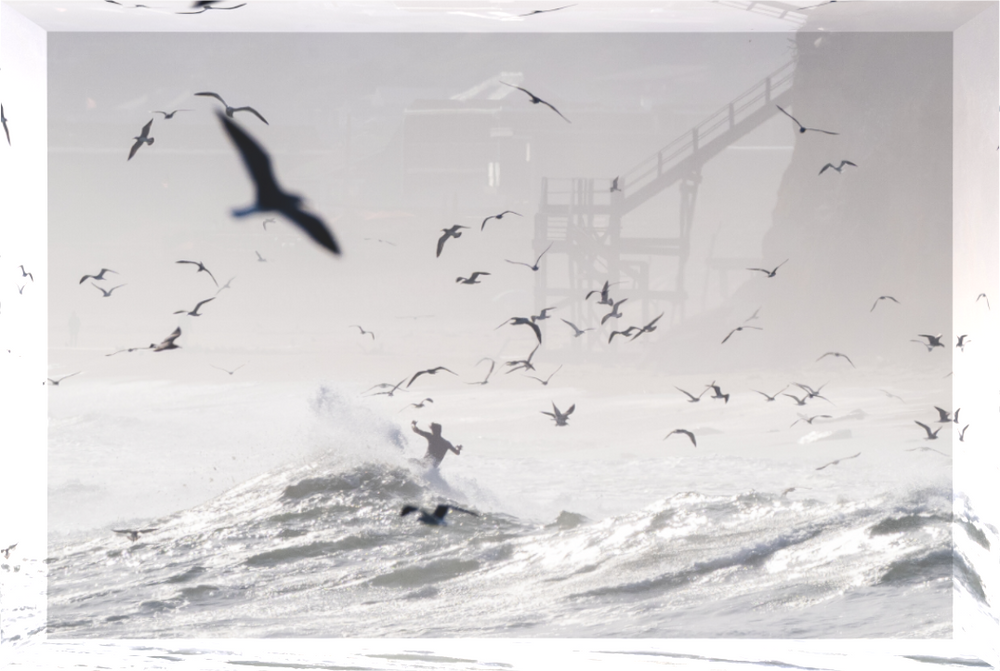 Main image Birds Eye View
