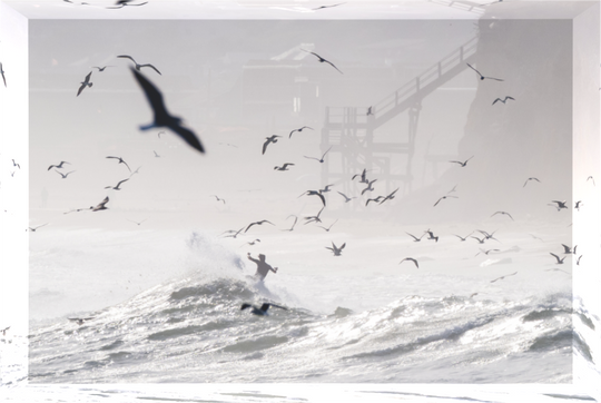 Main image Birds Eye View