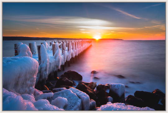 Cold Solace