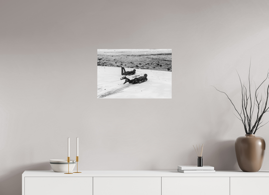 24 x 16″, HD Metal Print Snow Slides