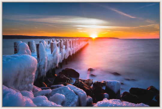 Cold Solace