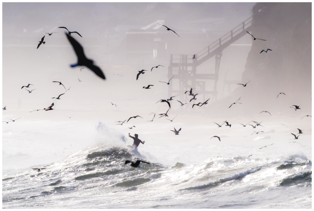 Main image Birds Eye View