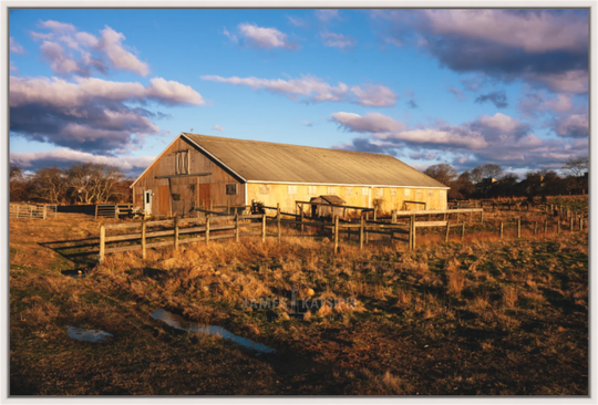 Rita's Stables