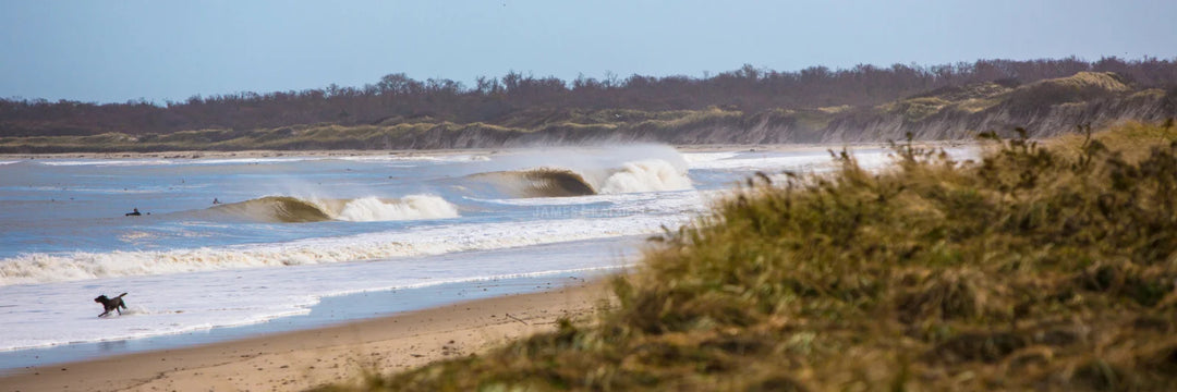 Sandy Pano