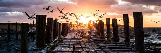 The Dock Pano