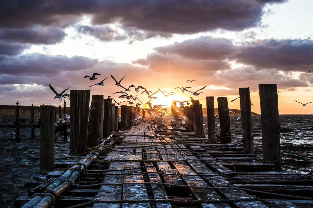 Main image The Dock