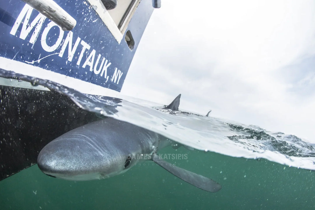 The Montauk Blues