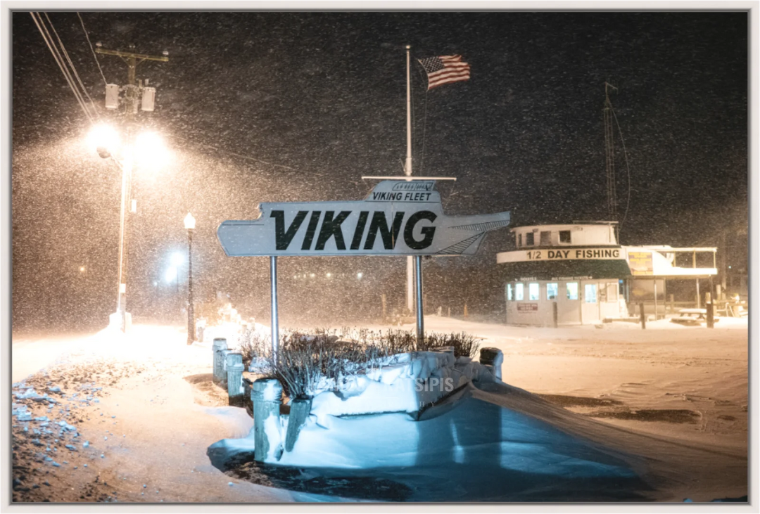 The Viking Fleet