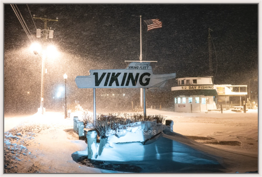The Viking Fleet