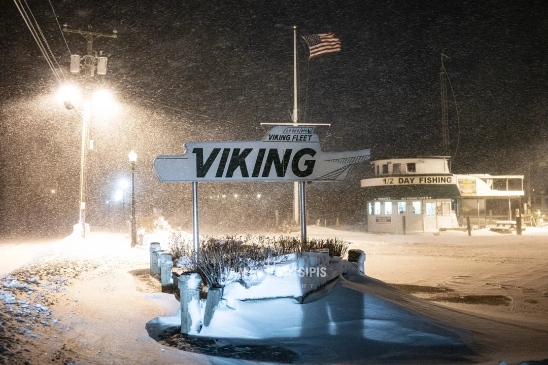 Main image The Viking Fleet