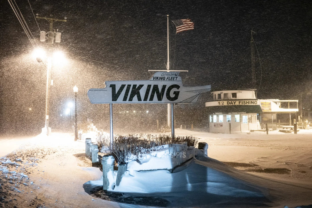 Main image The Viking Fleet