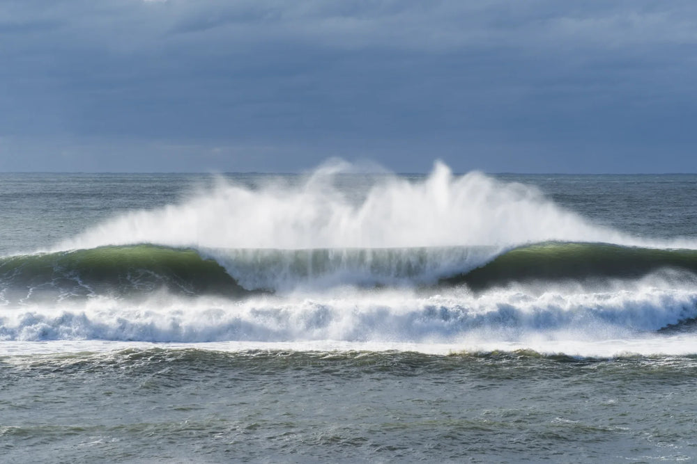 Main image Windswept