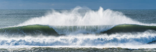 Windswept Pano